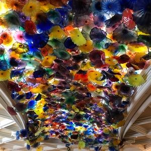 Meet your Posher, Shelby